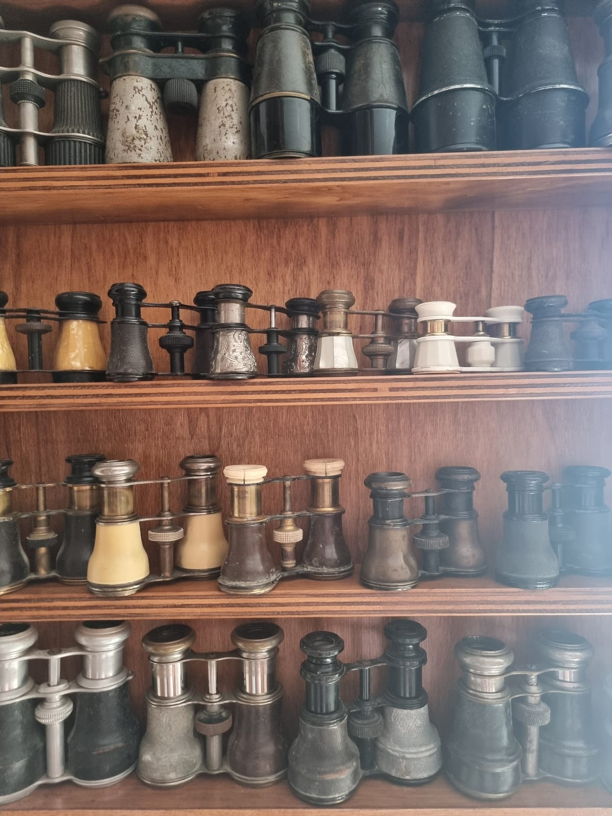 Collezione privata  binocoli e monocoli di Alessio Paladini